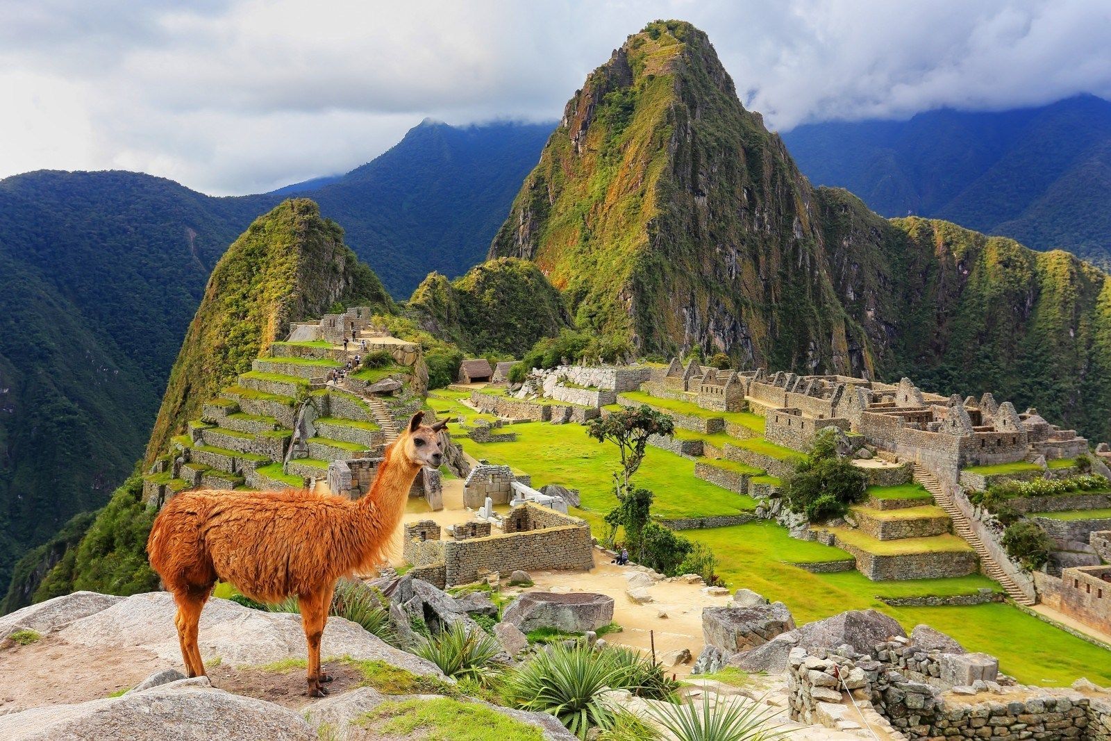 Cómo llegar a Machu Picchu y visitar las ruinas incas en Cusco Perú