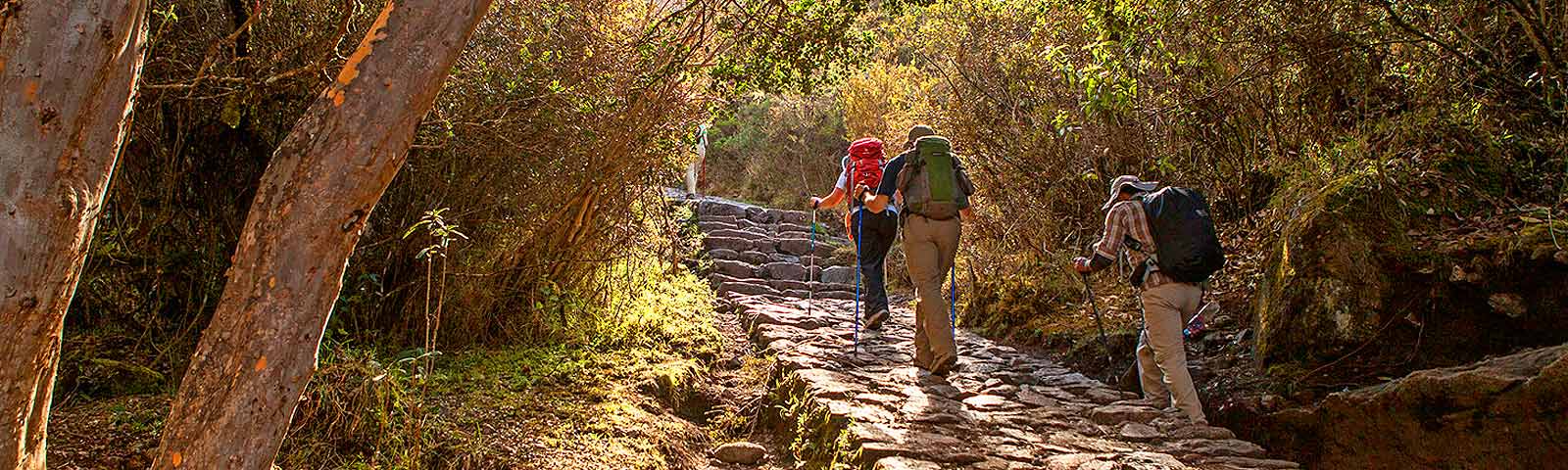 Disponibilidad para el Camino Inca a Machu Picchu 2022